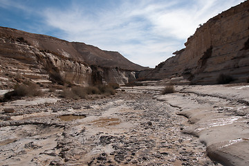 Image showing Water spring in a desert