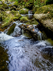 Image showing Bavarian Forest, Bavaria, Germany