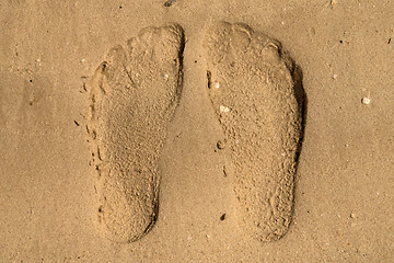 Image showing Footprint in the Desert, United Arab Emirates
