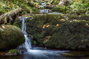 Image showing Bavarian Forest, Bavaria, Germany