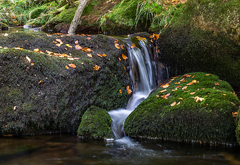 Image showing Bavarian Forest, Bavaria, Germany