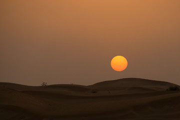 Image showing Desert in the United Arab Emirates