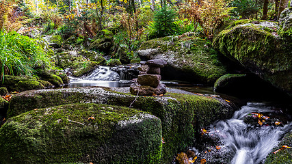 Image showing Bavarian Forest, Bavaria, Germany