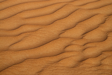 Image showing Desert in the United Arab Emirates