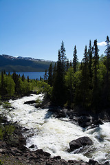 Image showing Lapland, Vaesterbotten, Sweden