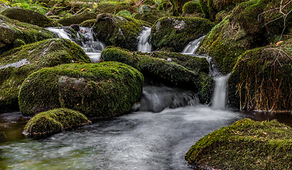 Image showing Bavarian Forest, Bavaria, Germany