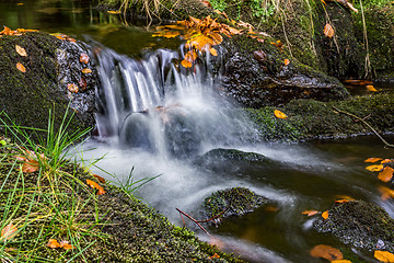 Image showing Bavarian Forest, Bavaria, Germany