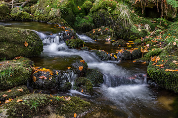 Image showing Bavarian Forest, Bavaria, Germany