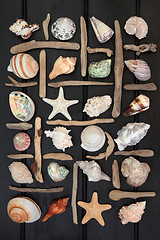 Image showing Shell and Driftwood Abstract 