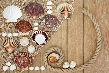 Image showing Sea Shell Abstract