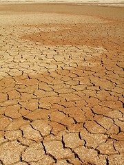 Image showing Dry lake bed