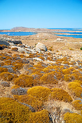 Image showing sea in delos greece the historycal acropolis and old ruin site