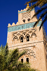 Image showing palm in maroc africa  minaret religion and the blue     sky