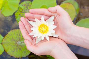 Image showing Woman hands holding lotus flower