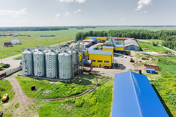 Image showing Corn dryer silos standing in a field of corn