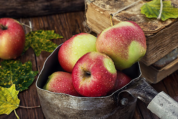 Image showing autumn harvest of apples