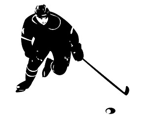 Image showing hockey player