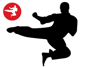 Image showing Karate in the jump