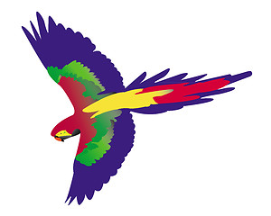 Image showing parrot