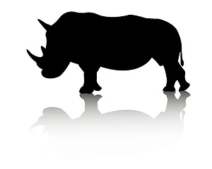 Image showing rhino animal