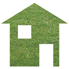 Image showing Grass house