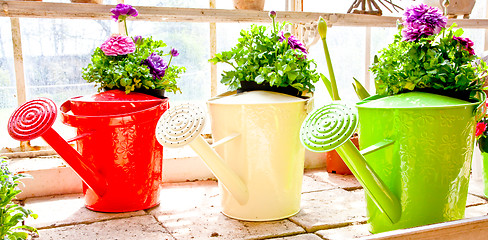 Image showing Garden - Watering can