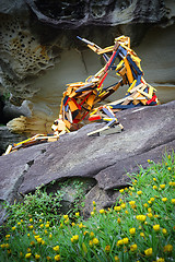 Image showing Sculpture by the Sea - Cradle of Form