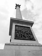 Image showing Black and white Nelson Column in London