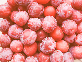 Image showing Retro looking Prunes