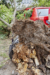 Image showing Car smashed by high winds