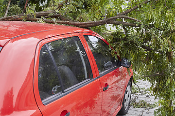 Image showing Car smashed by high winds