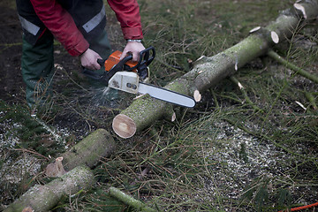 Image showing working with chainsaw