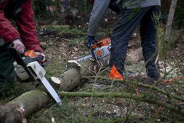 Image showing working with chainsaw