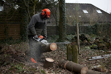 Image showing to cut a tree