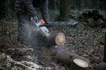 Image showing chainsaw