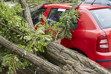 Image showing Car smashed by high winds