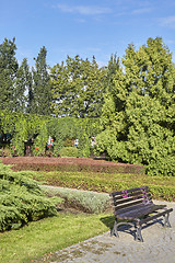 Image showing Summer garden in park