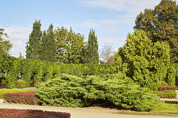 Image showing Summer garden in park