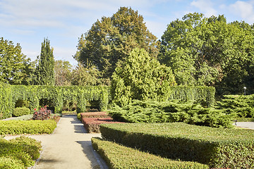 Image showing Summer garden in park