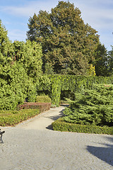 Image showing Summer garden in park