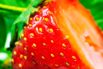 Image showing Cut a ripe strawberry to the major plan.