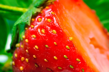 Image showing Cut a ripe strawberry to the major plan.