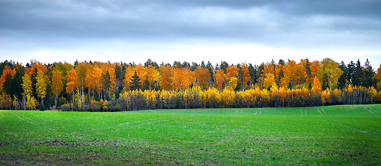 Image showing Autumn landscape