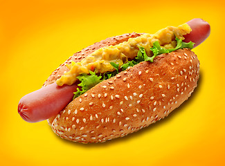 Image showing Hotdog on yellow background