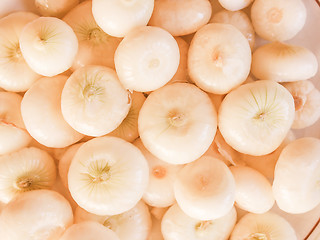 Image showing Retro looking Onions