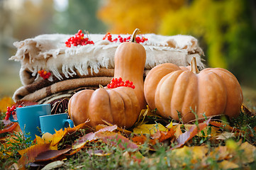 Image showing Autumn thanksgiving still life