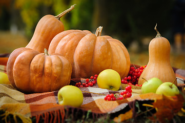 Image showing Autumn thanksgiving still life