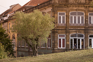 Image showing EUROPE PORTUGAL PORTO RIBEIRA OLIVE TREE