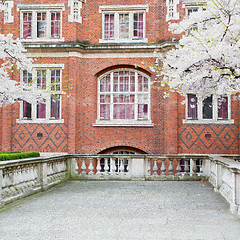 Image showing tree  window in europe london  red brick wall     and      histo