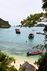 Image showing  boat coastline of a    tree  south china sea thailand kho 